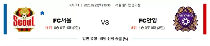 2월 22일 K리그1 FC서울 vs FC안양