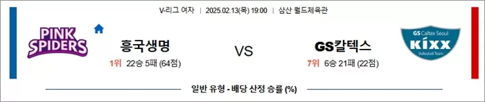 2월 13일 KOVO여 흥국생명 vs GS칼텍스