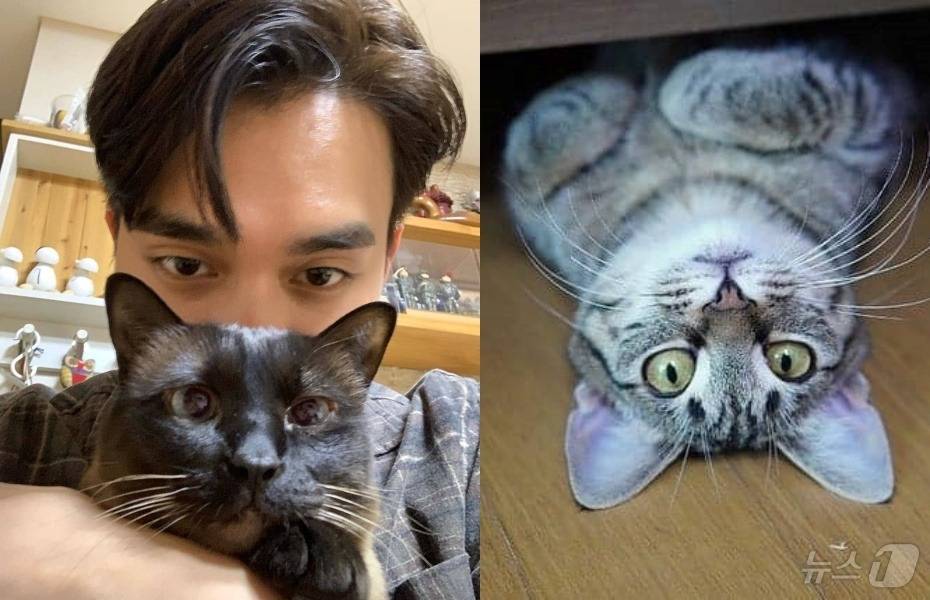 유기묘 입양한 유승호